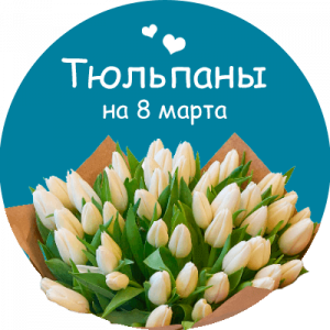 Купить тюльпаны в Багдаде